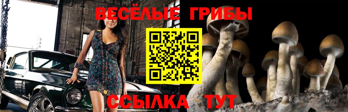 где купить   Галлюциногенные грибы мицелий  Вход с VPN  Ипатово 